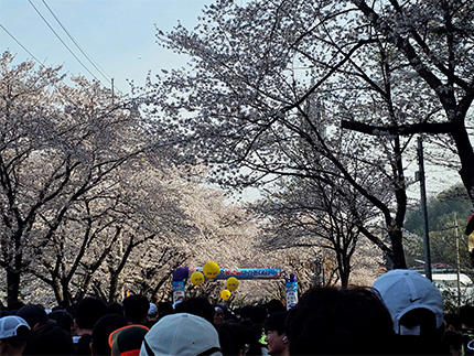 준비중인 모습, 대회출발선 이미지