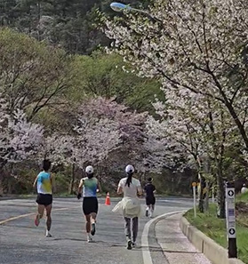 추월하고있는 진책임님의 아름다운 뒷모습